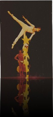 refl_photocirque2_jpg_c0350e676798d8627bd67c9d973e3486.jpg
