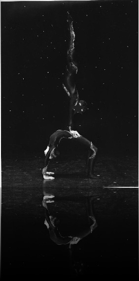 refl_photocirque7_jpg_4f7a9708b44f295d3915e56028a2bc7c.jpg