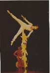 thumb_photocirque2_jpg_b0765abde7709f33c249fbf7df1eade0.jpg