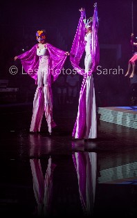 cirqueacademie-spectacle2015_36