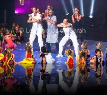 cirqueacademie-spectacle2015_78