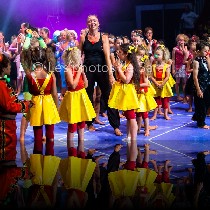 cirqueacademie-spectacle2015_81